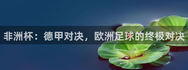 世界杯葡萄牙赛程：非洲杯：德甲对决，欧洲足球的终极对决