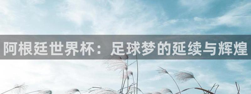 世界杯在线直播:阿根廷世界杯:足球梦的延续与辉煌