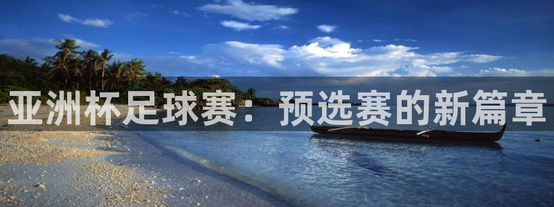 2026世界杯赛程：亚洲杯足球赛：预选赛的新篇章