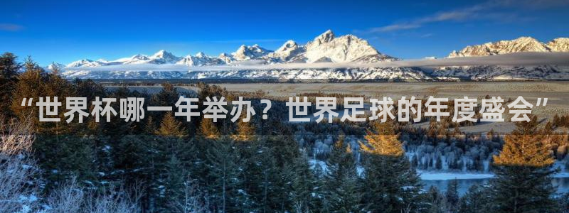 男足世界杯预选赛赛程：“世界杯哪一年举办？世界足球的年度盛会”