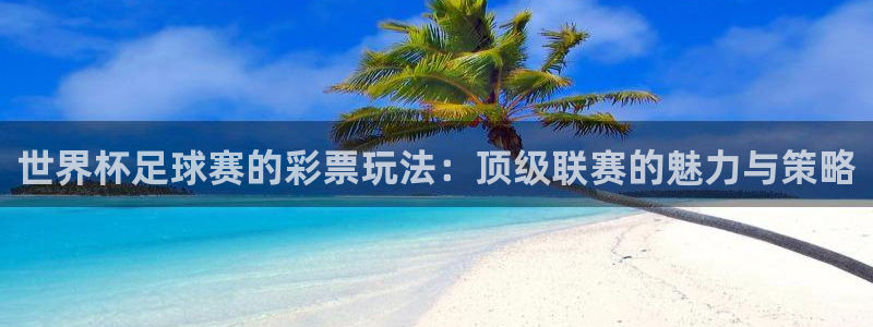 世界杯足球比赛：世界杯足球赛的彩票玩法：顶级联赛的魅力与策略